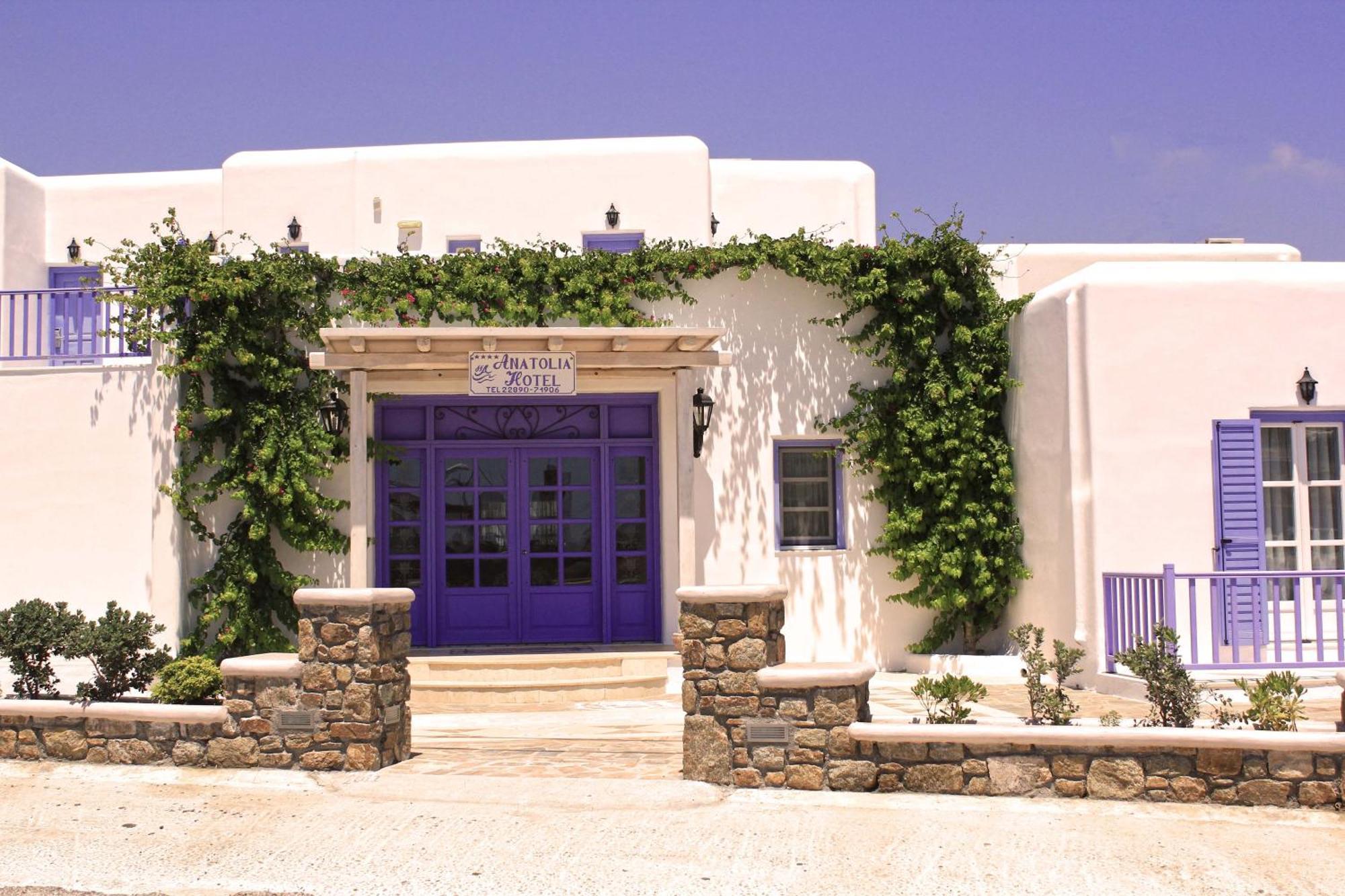 Hotel Anatolia Ano Mera Exteriér fotografie